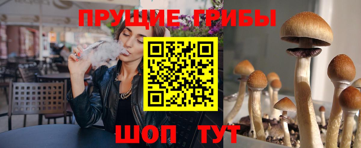 Касимов  Галлюциногенные грибы GOLDEN TEACHER  Вход с VPN 