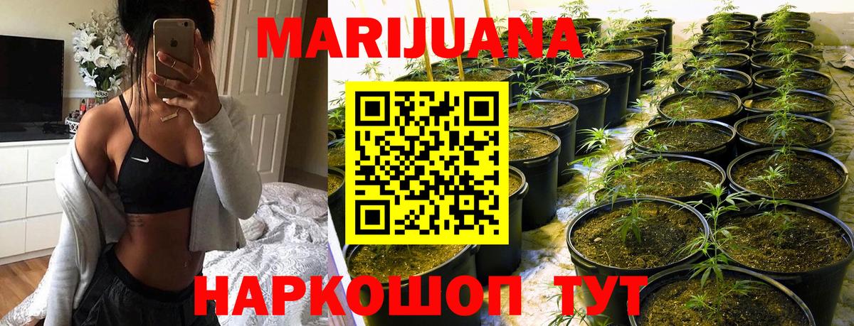 Конопля план Касимов